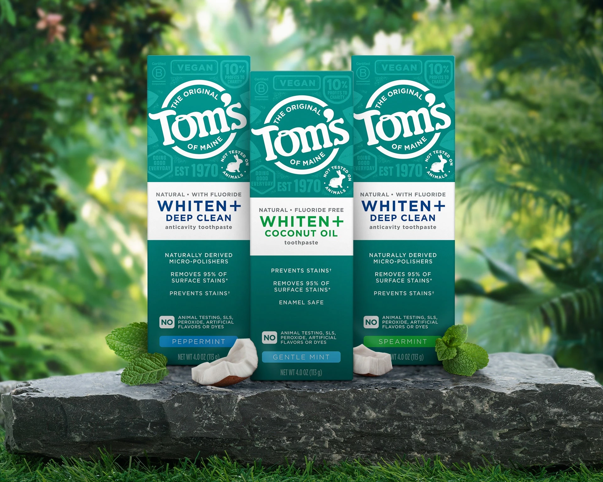 Natural Care for Your Family