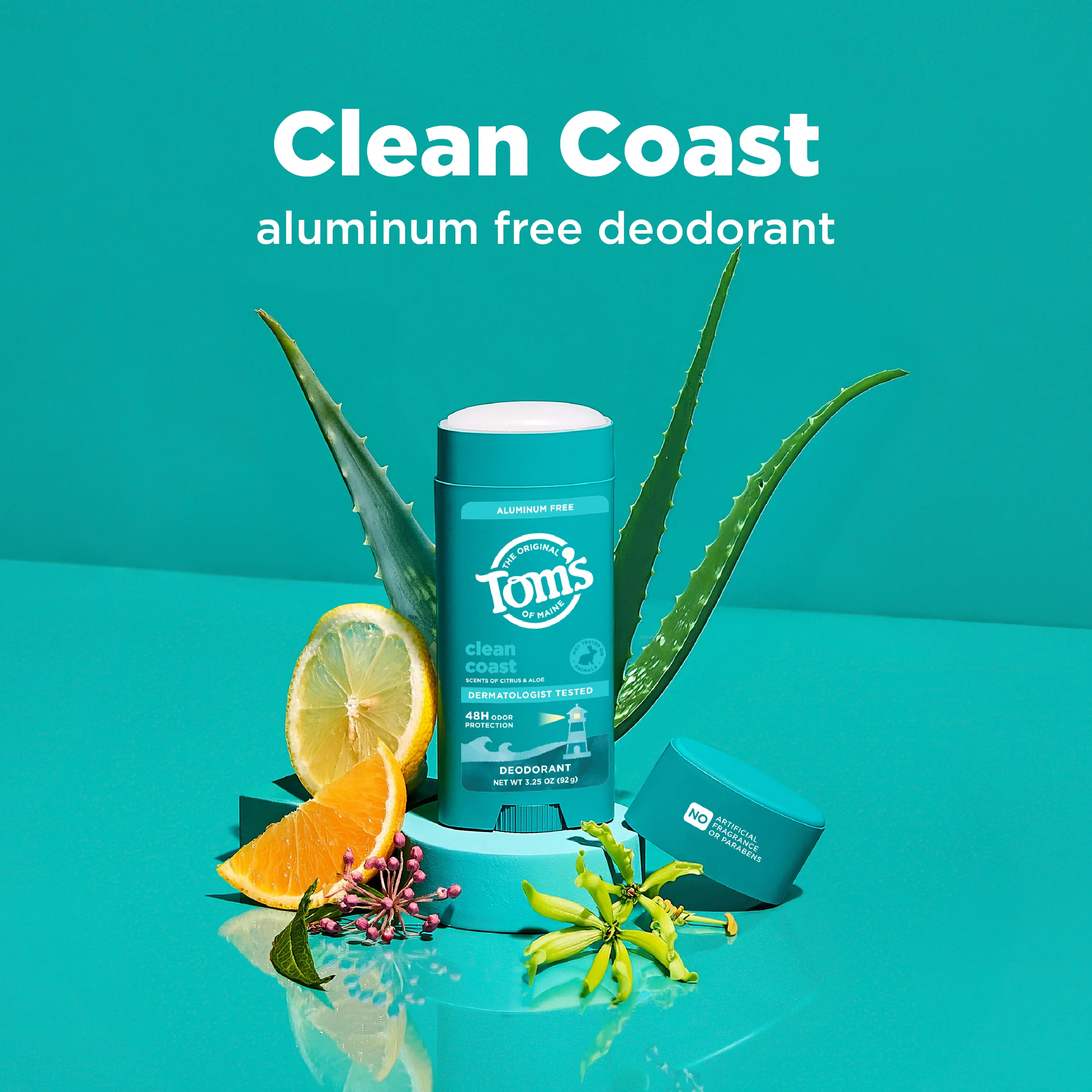 Clean Coast Aluminum Free Deodorant - Image 3