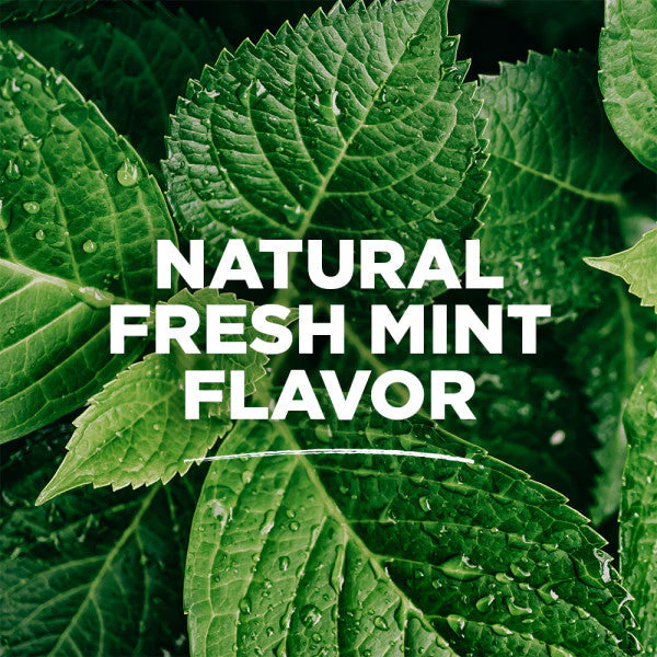 Fresh Mint Whole Care Anticavity Natural Mouthwash - Image 4