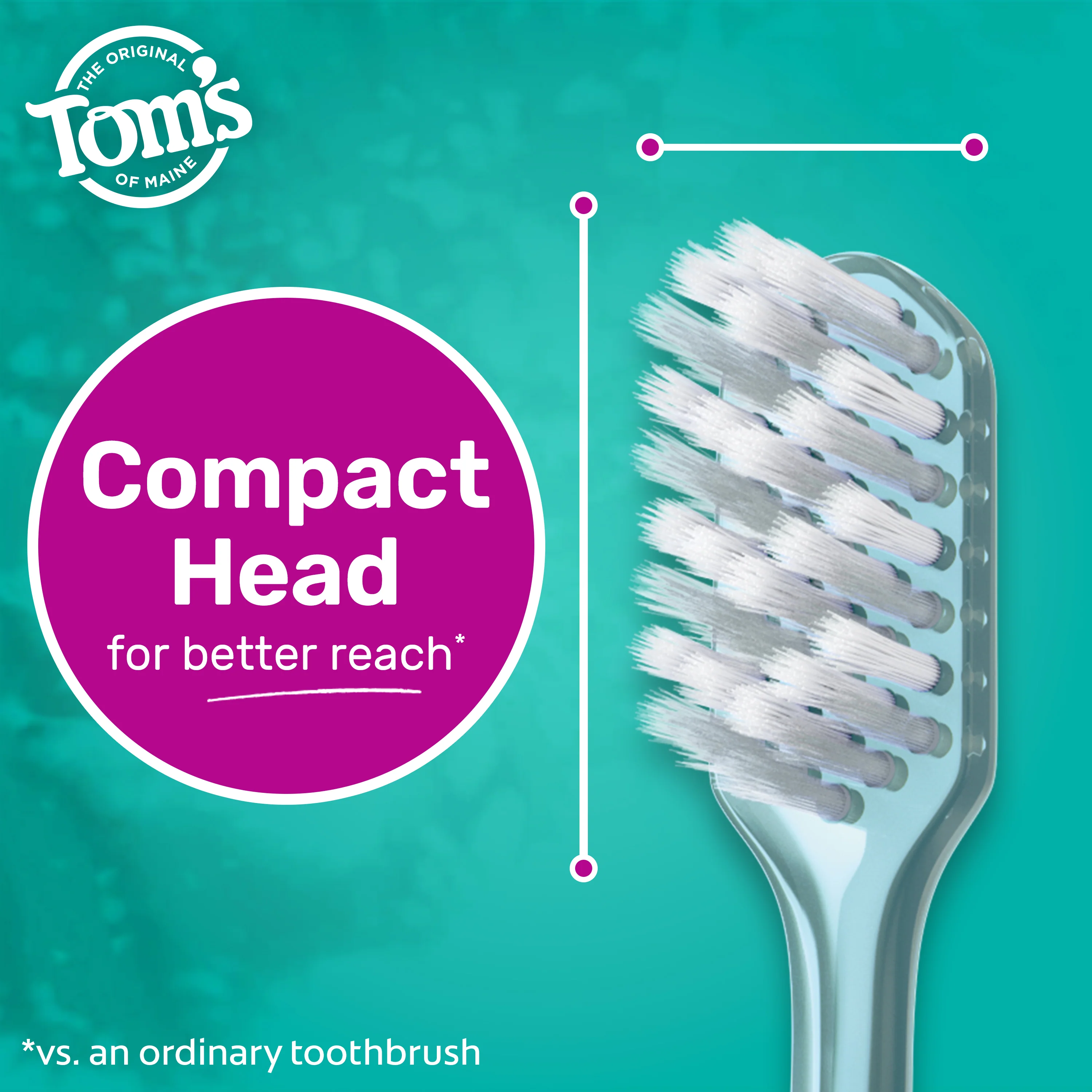 Antiplaque Adult Soft Toothbrush, 2 Pack - Image 5