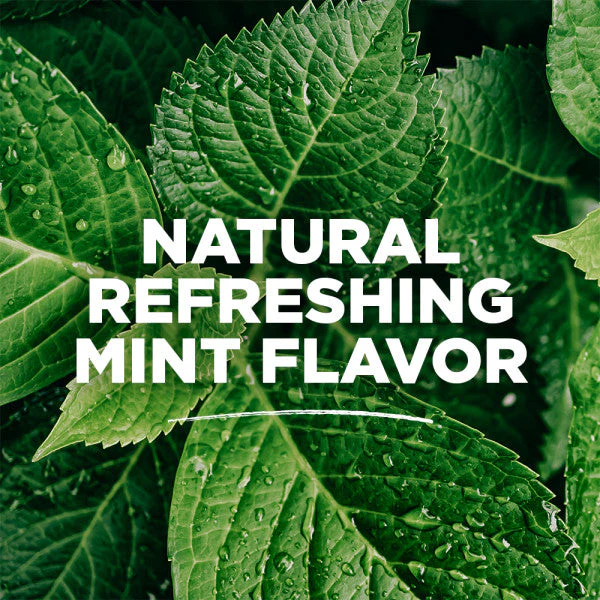 Refreshing Mint Sea Salt Fluoride-Free Natural Mouthwash - Image 5