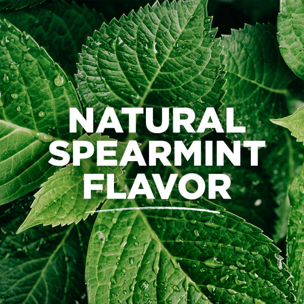 Antiplaque Spearmint Natural Floss - Image 4