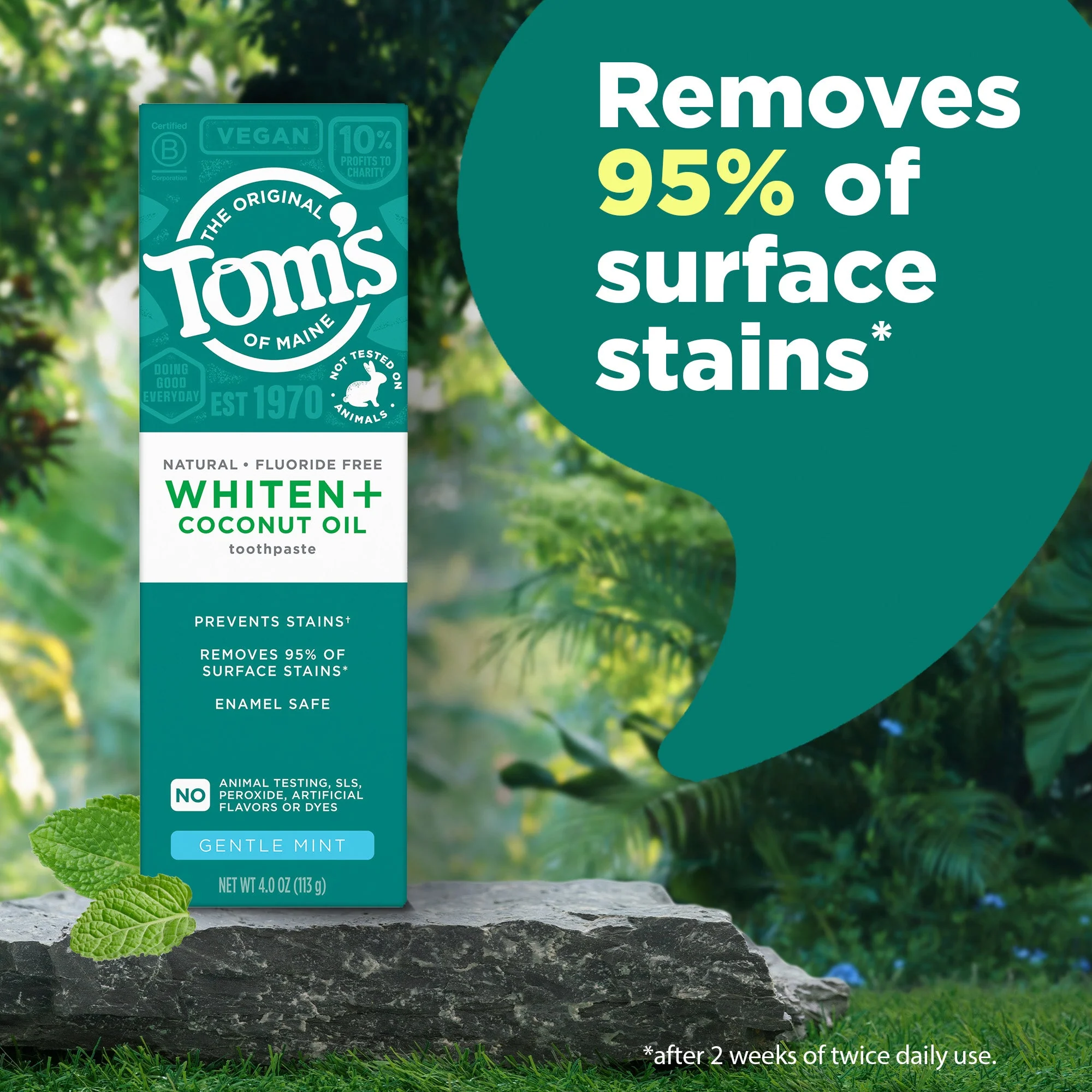 Whiten Plus Coconut Oil Fluoride Free Gentle Mint Natural Toothpaste - Image 3